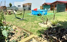 Dinocamp
