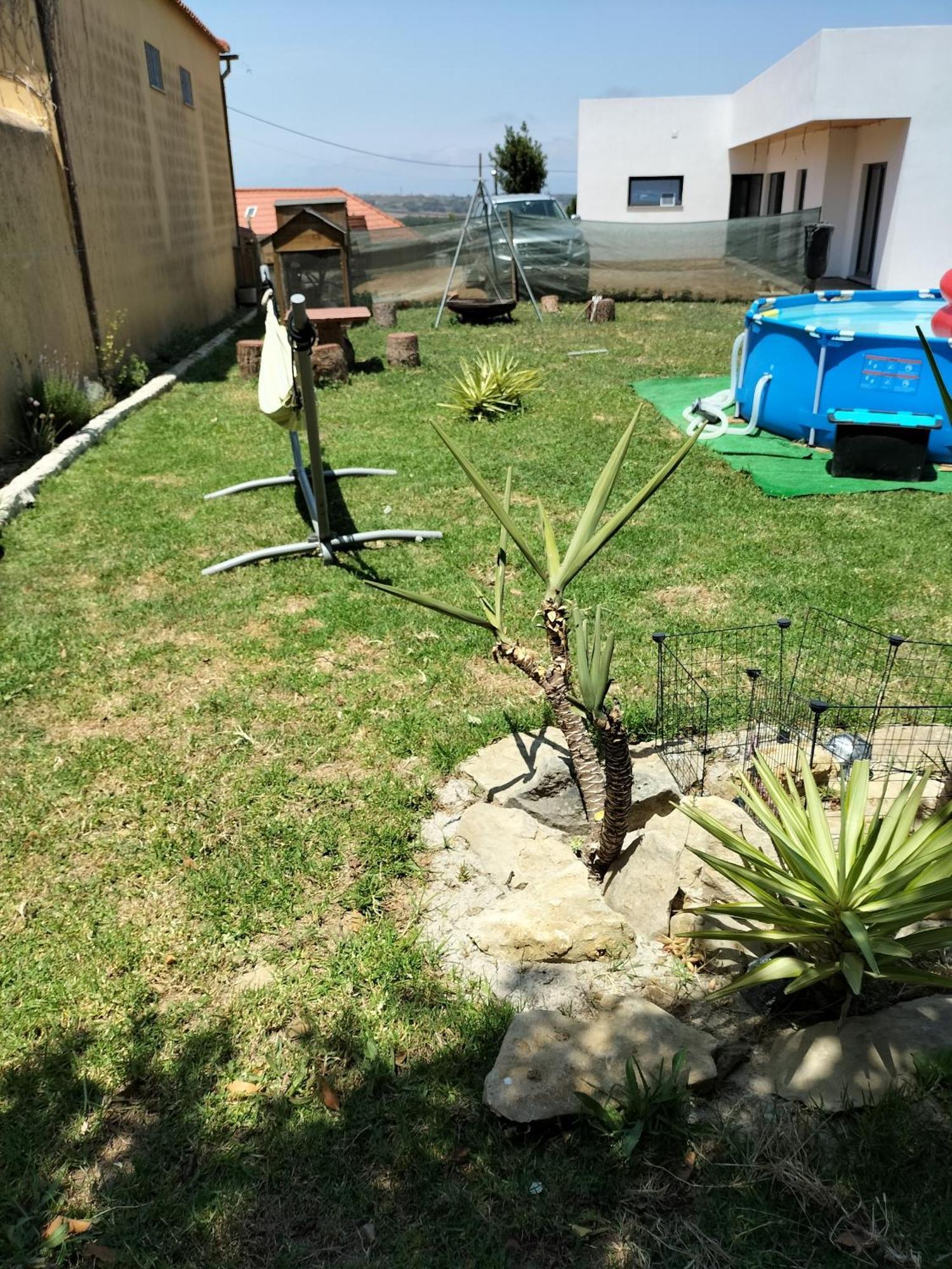 Dinocamp Casa de hóspedes Lourinhã Exterior foto